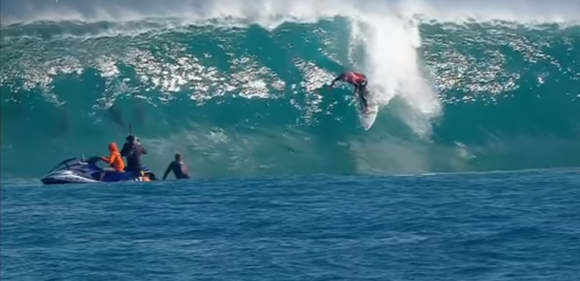 Des dauphins et un surfeur prennent la mÃªme vague au championnat du monde